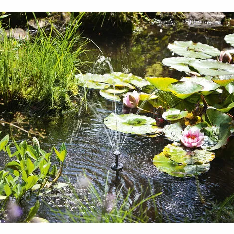 Meilleure affaire ? Kit Filtre Solaire Pour Bassin 8/300 Avec Batterie Rechargeable Kit Pompe Pour Bassin De Jardin Esotec 101068 ? 6 Meilleure affaire ? Kit Filtre Solaire Pour Bassin 8/300 Avec Batterie Rechargeable Kit Pompe Pour Bassin De Jardin Esotec 101068 ? â Image 4