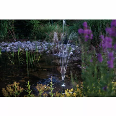 Meilleur prix ? Pompe Solaire De Bassin Avec Batterie Rechargeable 20W Pompe Solaire De Jardin Pompe De Bassin étang Esotec 101724 ? 4 Meilleur prix ? Pompe Solaire De Bassin Avec Batterie Rechargeable 20W Pompe Solaire De Jardin Pompe De Bassin étang Esotec 101724 ? – Image 2