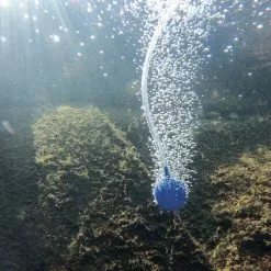 Bon marché ? Aérateur De Bassin Solaire 5W 130 L/h Pompe Aération De Bassin Oxygène Esotec 101842 ? 9 Bon marché ? Aérateur De Bassin Solaire 5W 130 L/h Pompe Aération De Bassin Oxygène Esotec 101842 ? -ESOTEC Boutique 26787583 4