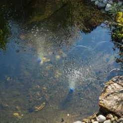 De gros ? Aérateur De Bassin Solaire 5W 200 L/h Pompe Aération De Bassin Oxygène Esotec 101844 ? -ESOTEC Boutique 26787597 3