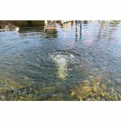 Tout neuf ? Aérateur De Bassin De Pompe Solaire De Remplacement 6-9V Bassin Doxygène Bassin De Jardin Esotec 101871 ⌛ 7 Tout neuf ? Aérateur De Bassin De Pompe Solaire De Remplacement 6-9V Bassin Doxygène Bassin De Jardin Esotec 101871 ⌛ -ESOTEC Boutique 26787657 3