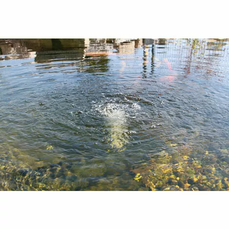 Tout neuf ? Aérateur De Bassin De Pompe Solaire De Remplacement 6-9V Bassin Doxygène Bassin De Jardin Esotec 101871 ⌛ 5 Tout neuf ? Aérateur De Bassin De Pompe Solaire De Remplacement 6-9V Bassin Doxygène Bassin De Jardin Esotec 101871 ⌛ – Image 3