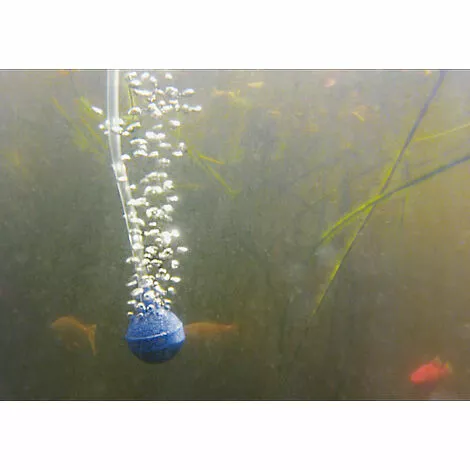 Bon marché ? Aérateur De Bassin Solaire Flottant 120l / H Ventilation De Bassin De Jardin Esotec 101875 ? 5 Bon marché ? Aérateur De Bassin Solaire Flottant 120l / H Ventilation De Bassin De Jardin Esotec 101875 ? – Image 3