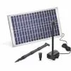 Meilleure vente ? Pompe Solaire Pour Bassin 25W 875 L/h Pompe Solaire Pour Bassin De Jardin Fontaine Esotec 101913 ⌛ 1 Meilleure vente ? Pompe Solaire Pour Bassin 25W 875 L/h Pompe Solaire Pour Bassin De Jardin Fontaine Esotec 101913 ⌛ -ESOTEC Boutique 26787747 1