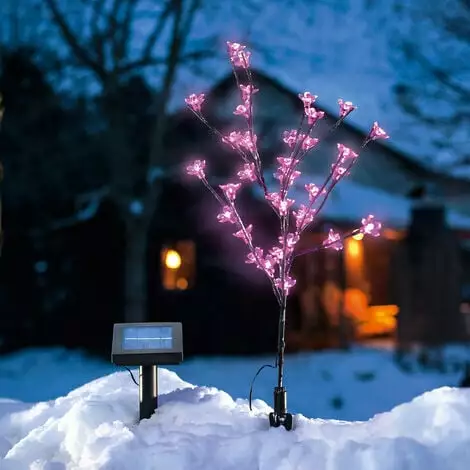 Bon marché ? Arbuste à Fleurs Solaire Lumière Décorative Lampe Solaire Lampe De Jardin Extérieur LED Esotec 102104 ? 6 Bon marché ? Arbuste à Fleurs Solaire Lumière Décorative Lampe Solaire Lampe De Jardin Extérieur LED Esotec 102104 ? – Image 4