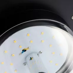 Meilleure vente ? Lampe De Chemin De Capteur Solaire 600 Lm Lampe Solaire De Jardin Lampe Solaire Esotec 102741 ? -ESOTEC Boutique 26788734 5