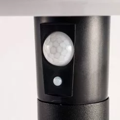 Acheter ⌛ Capteur Solaire Path Light 600 Lm Lampadaire Jardin Lampe Solaire Esotec 102742 ? -ESOTEC Boutique 26788751 5