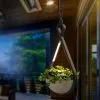 Les meilleures critiques de ? Lampe à Suspension LED Avec Pot De Fleurs Suspension Lampe Extérieure Extérieure Esotec 201205 ❤️ -ESOTEC Boutique 26789289 1