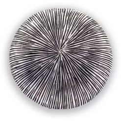 Meilleur prix ? Boule Solaire 27 Cm Optique Grès Lumière Solaire Décoration De Jardin LED Esotec 102676 ? -ESOTEC Boutique 26789724 5