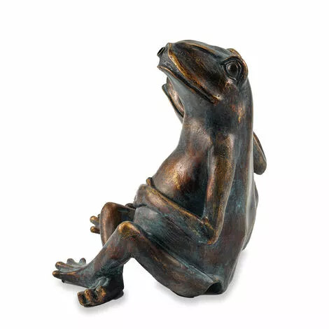 Vente flash ? Figurine De Gargouille Grenouille Jardin Deau Décoration Figurine De Bassin Esotec 100737 ? 4 Vente flash ? Figurine De Gargouille Grenouille Jardin Deau Décoration Figurine De Bassin Esotec 100737 ? â Image 2