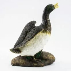 Meilleur prix ⌛ Figurine De Gargouille Canard Jardin Deau Décoration Figurine De Bassin Esotec 100739 ? 9 Meilleur prix ⌛ Figurine De Gargouille Canard Jardin Deau Décoration Figurine De Bassin Esotec 100739 ? -ESOTEC Boutique 28040727 3