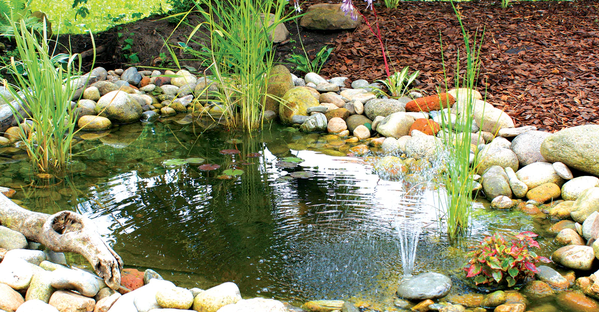 Esotec Soldes Magasin -ESOTEC Boutique